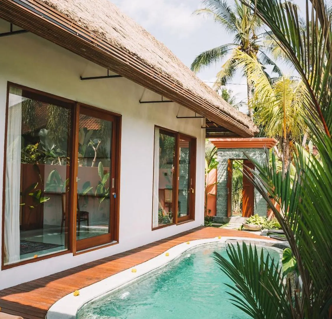 Alcyone House Ubud location