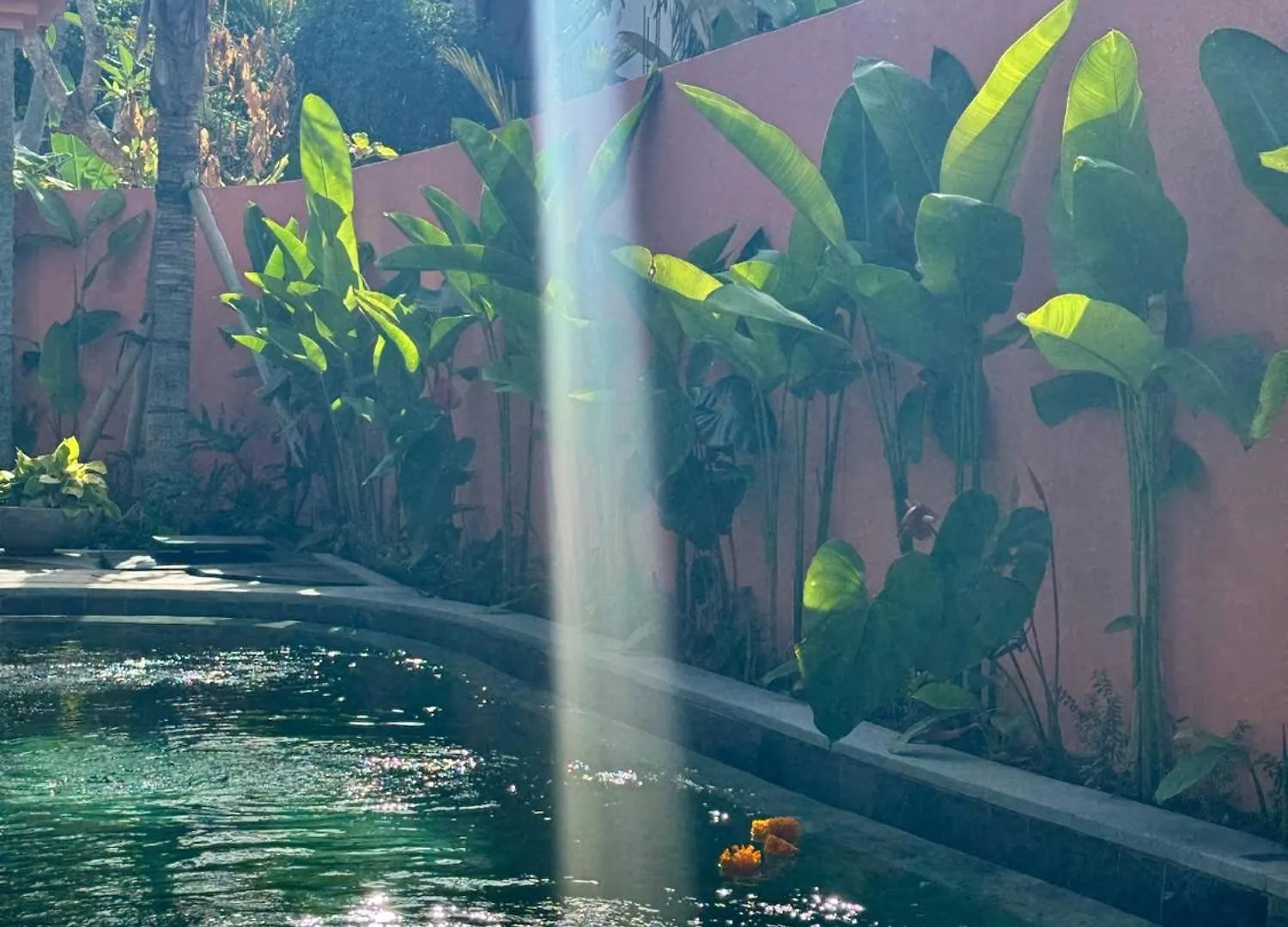 Alcyone House Ubud Villa Ubud (Bali)
