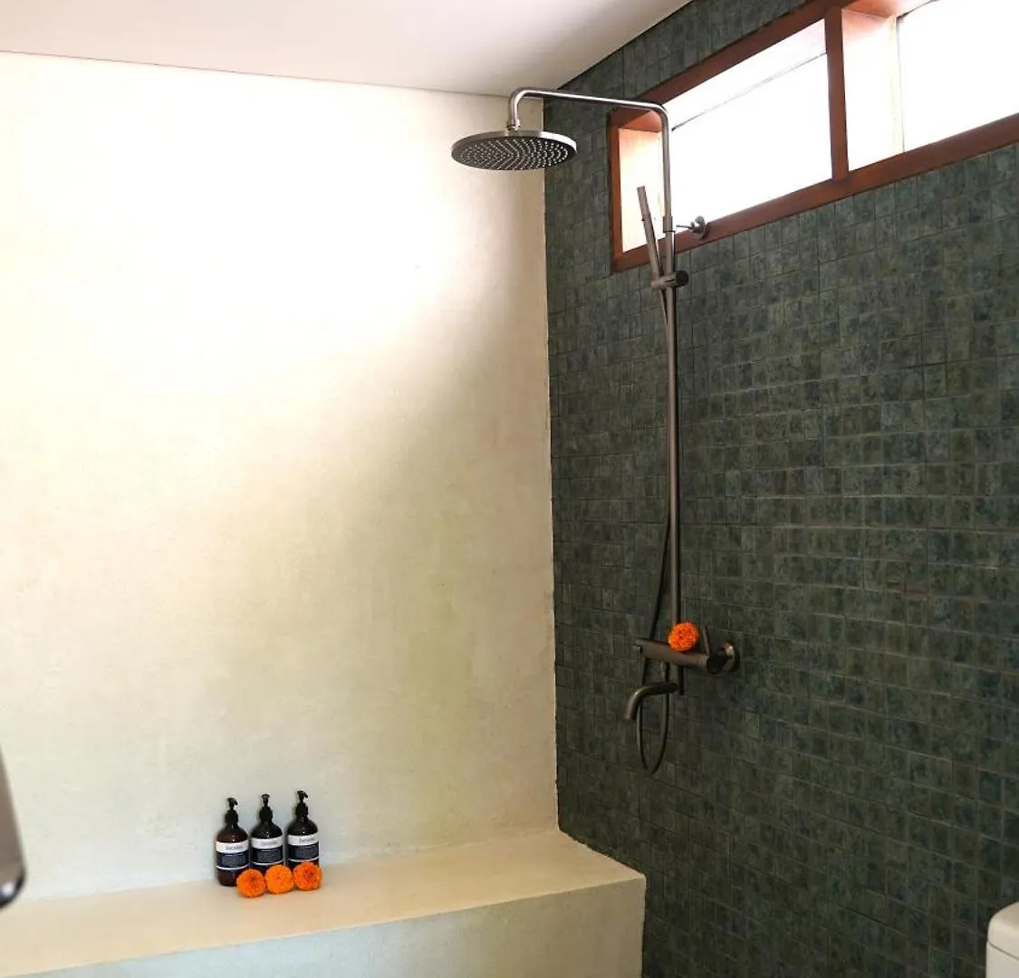 Alcyone House Ubud Villa Indonesia